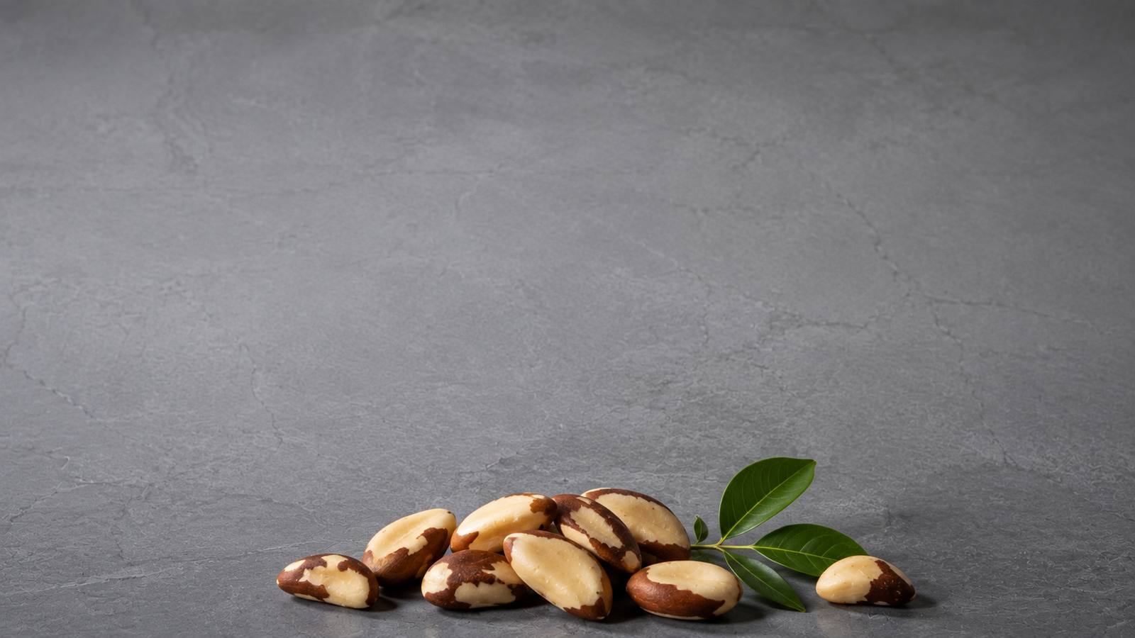 Thyroid Health Nutrition Program